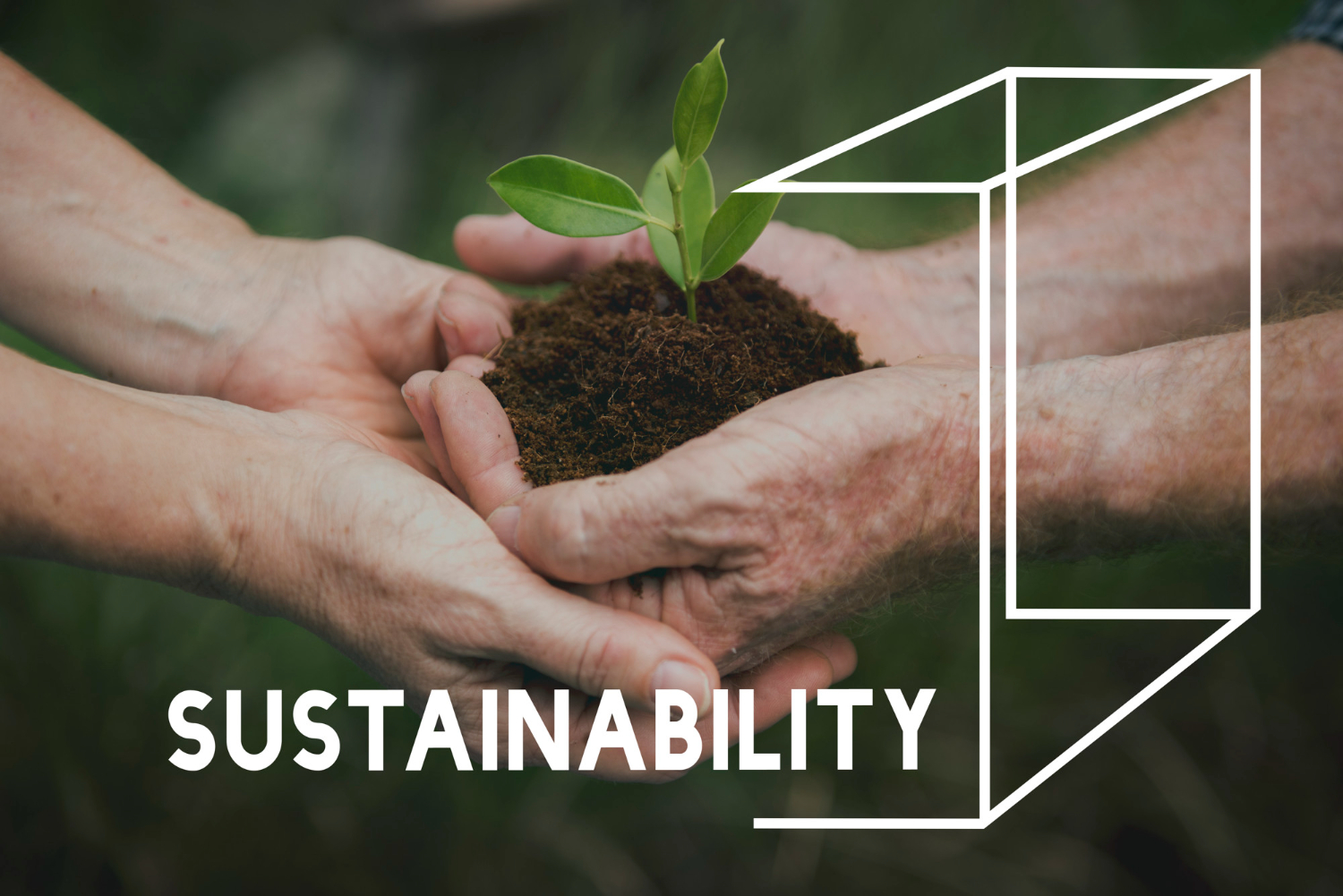 Market & Growth Outlook